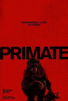 Primate